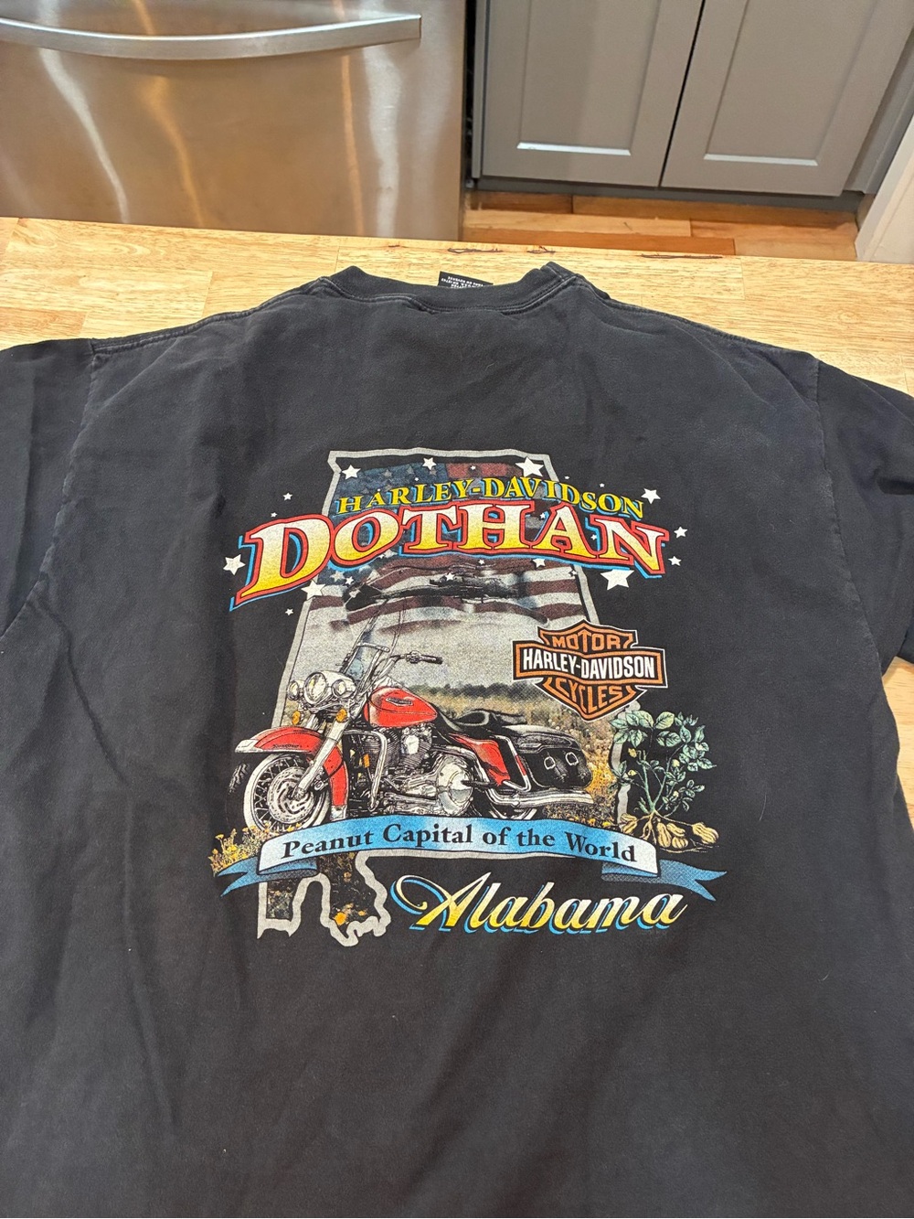 Vintage Harley Davidson Dothan Alabama  Eagle T Shirt Hanes Beefy T USA L Y4